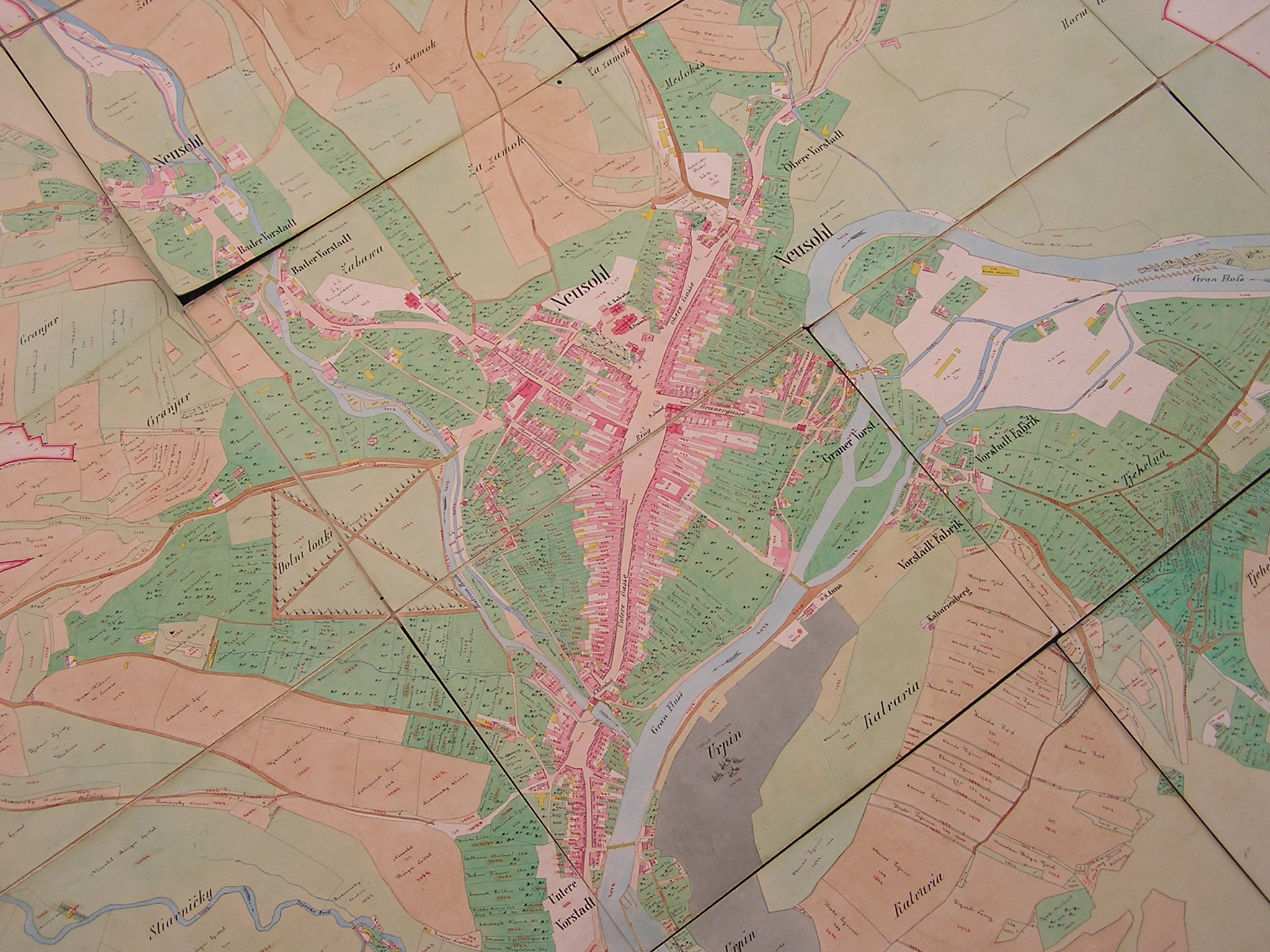 P1010014.JPG